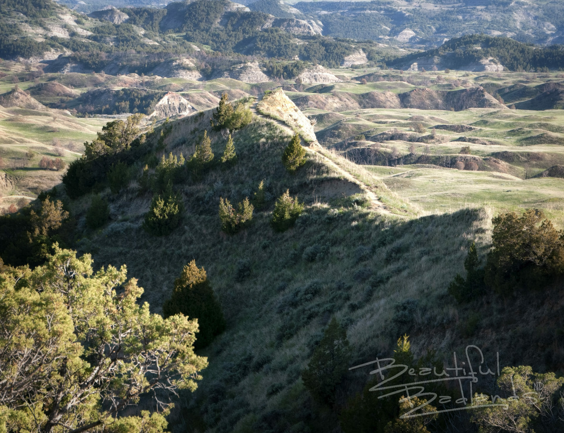 Boicourt Trail