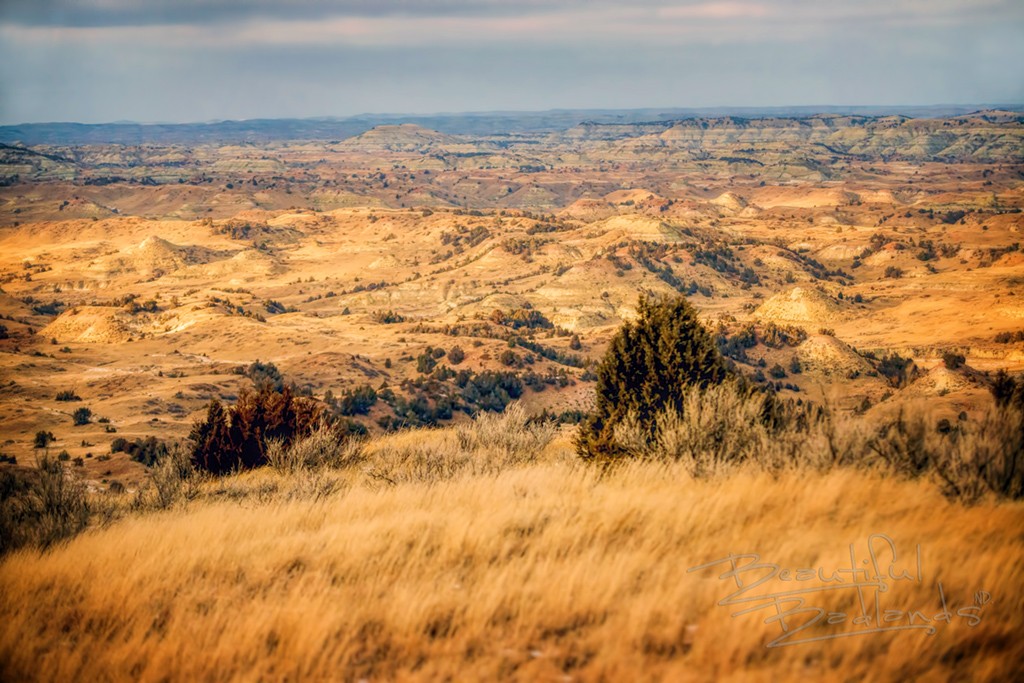 Peck Hill view