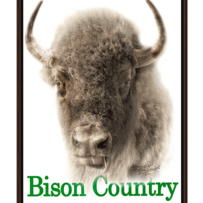 Bison Country! Sepia Bison Portrait with Green Text Walnut Floating Frame Canvas Wrap